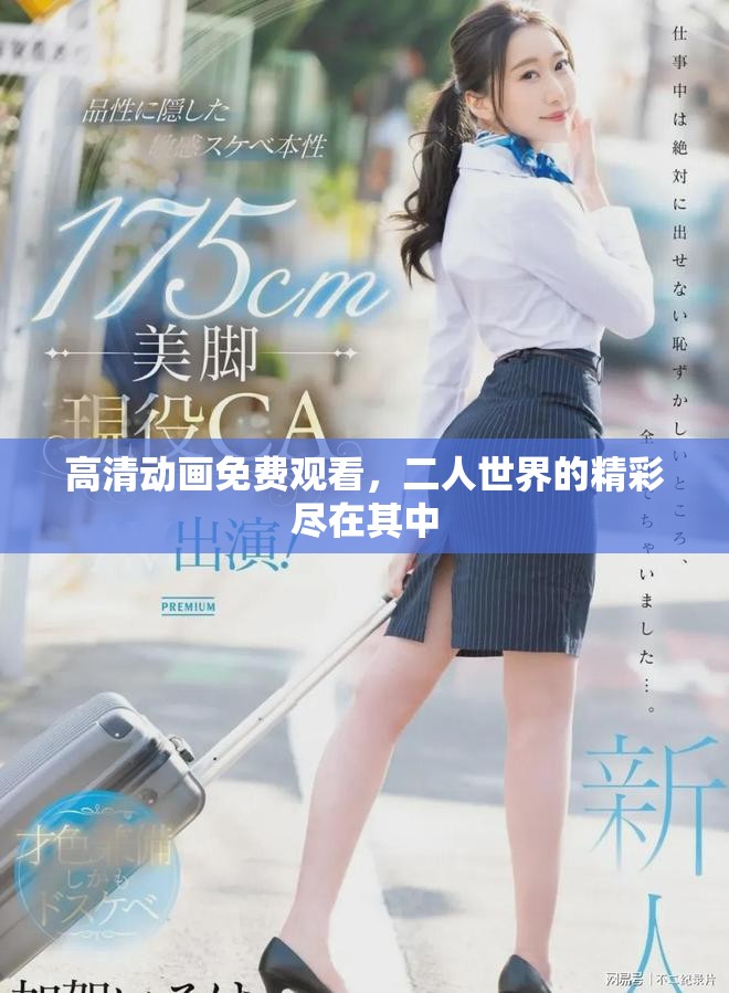 高清动画免费观看，二人世界的精彩尽在其中