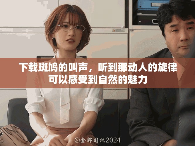 下载斑鸠的叫声，听到那动人的旋律可以感受到自然的魅力