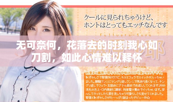 无可奈何，花落去的时刻我心如刀割，如此心情难以释怀