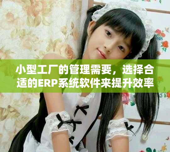 小型工厂的管理需要，选择合适的ERP系统软件来提升效率