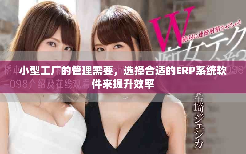 小型工厂的管理需要，选择合适的ERP系统软件来提升效率