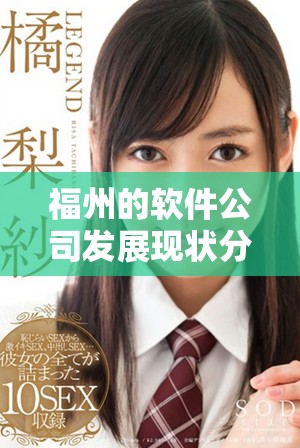 福州的软件公司发展现状分析，探讨行业未来趋势与挑战