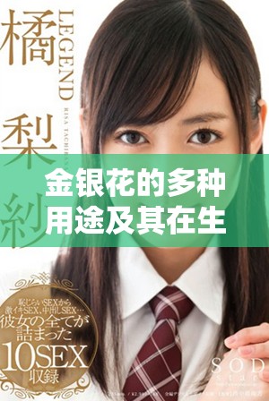 金银花的多种用途及其在生活中的重要作用介绍
