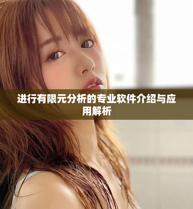 进行有限元分析的专业软件介绍与应用解析