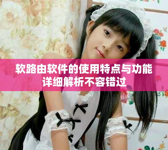 软路由软件的使用特点与功能详细解析不容错过