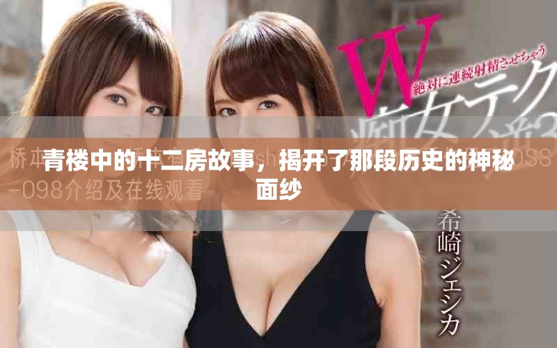 青楼中的十二房故事，揭开了那段历史的神秘面纱
