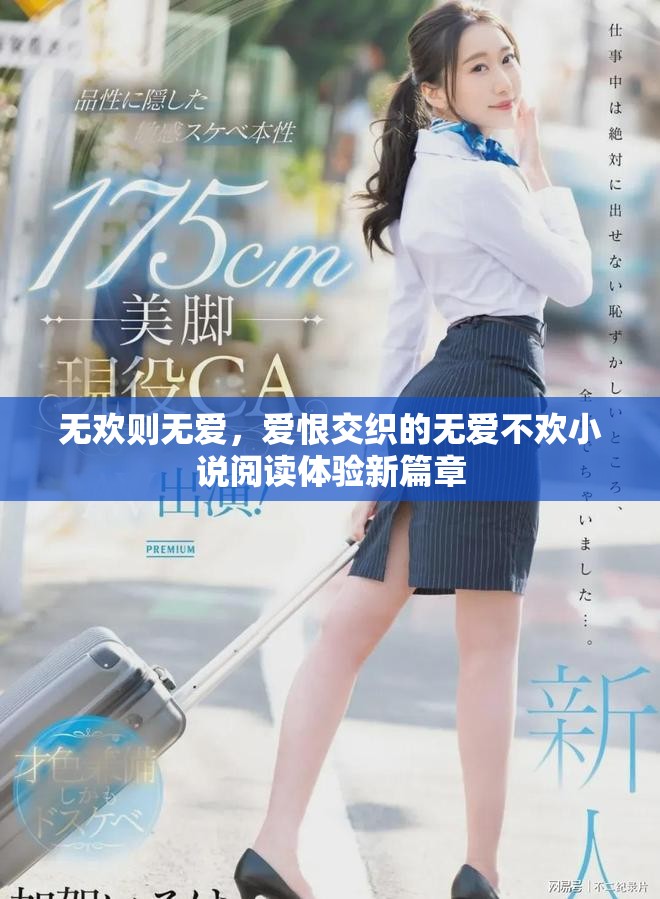 无欢则无爱，爱恨交织的无爱不欢小说阅读体验新篇章