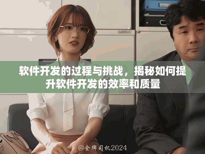 软件开发的过程与挑战，揭秘如何提升软件开发的效率和质量